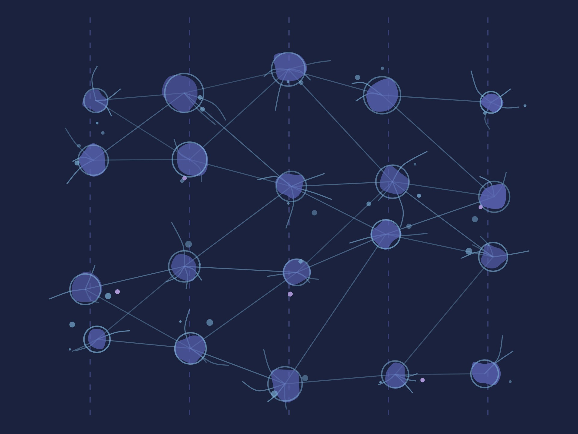 why-amoeba-networks-page159