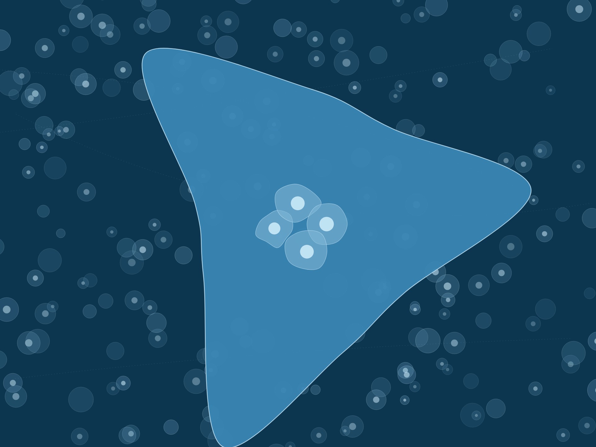 why-amoeba-networks-page33
