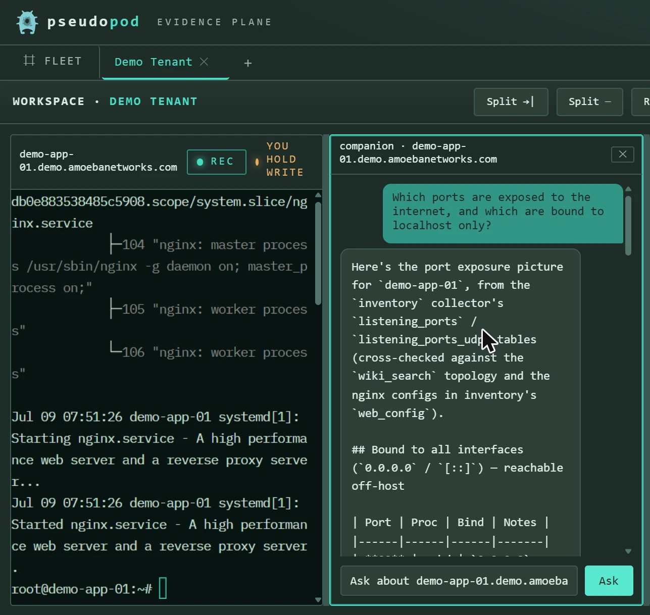 Pseudopod's AI troubleshooting companion answering a question about a Linux host, grounded in the host's own inventory, topology and service configuration
