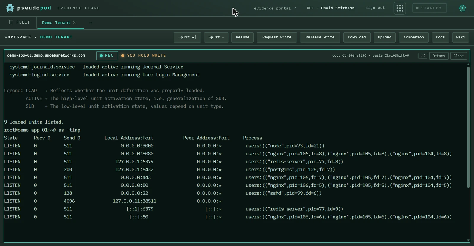 Pseudopod Linux RMM console recording a live engineer session on a managed Linux server, showing real shell output command by command