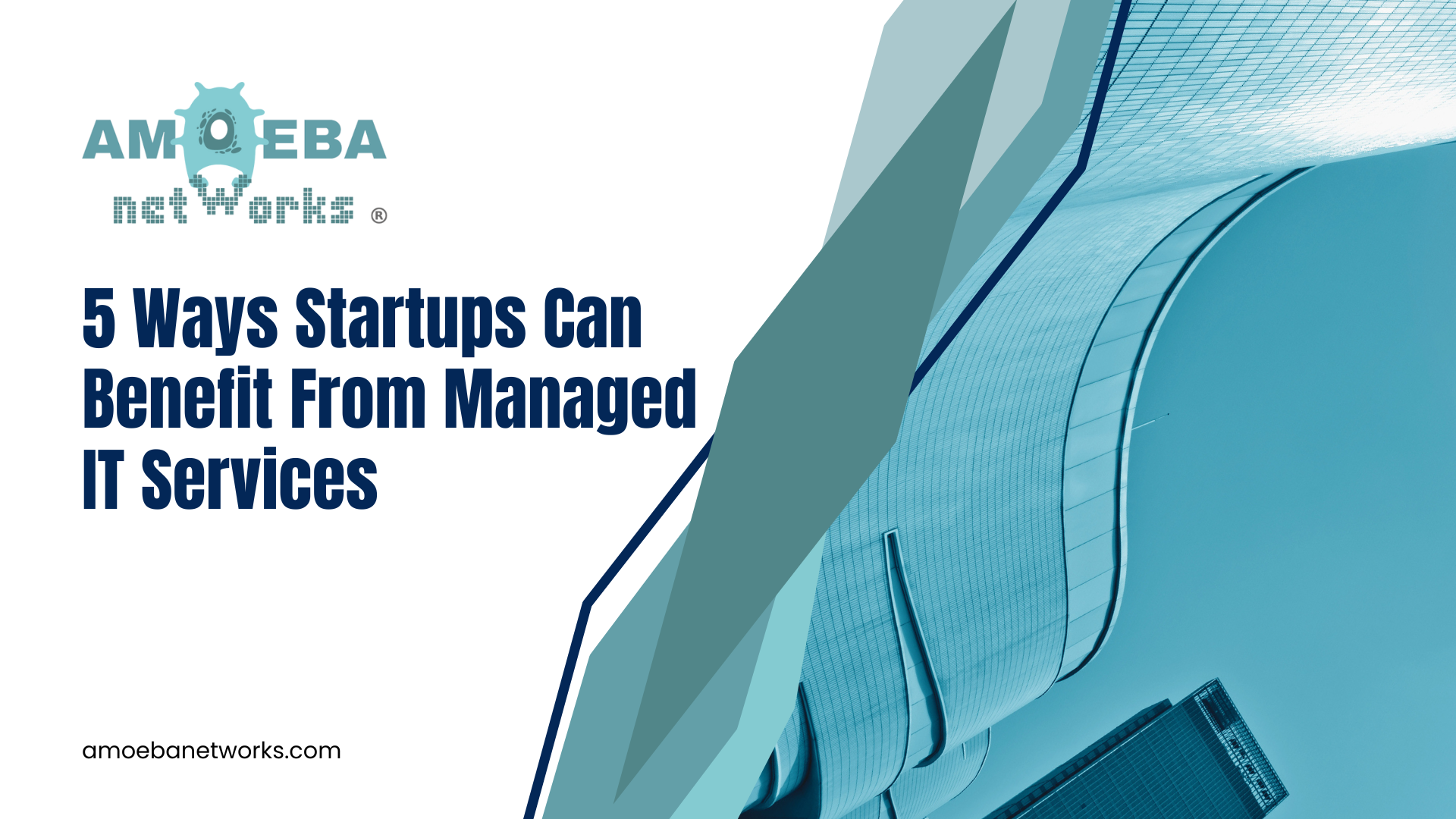 5 Ways Startups in New York Benefit from Managed IT Services | Amoeba Networks