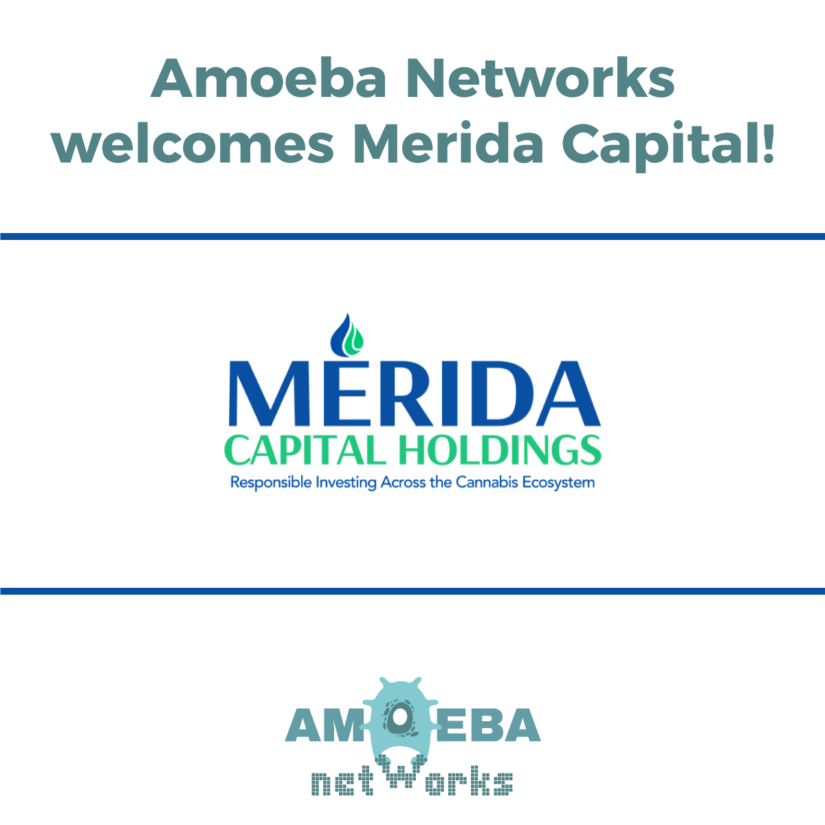 Amoeba Networks welcomes Merida Capital