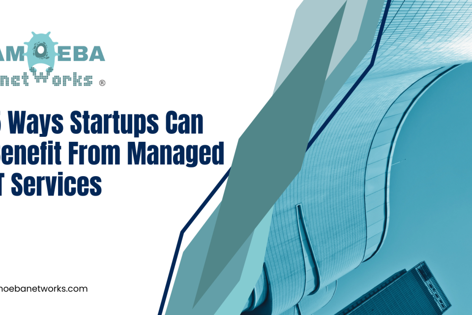 5 Ways Startups in New York Benefit from Managed IT Services | Amoeba Networks