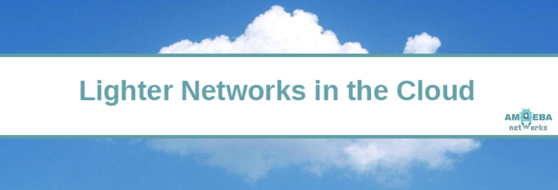 Make sense of "cloud fluff" with Amoeba Networks